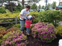Gresham Supper Lions spruce up Heroes Memorial for holiday | News |  