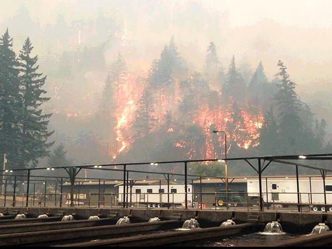 Judge sentences teen for role in Eagle Creek Fire, News