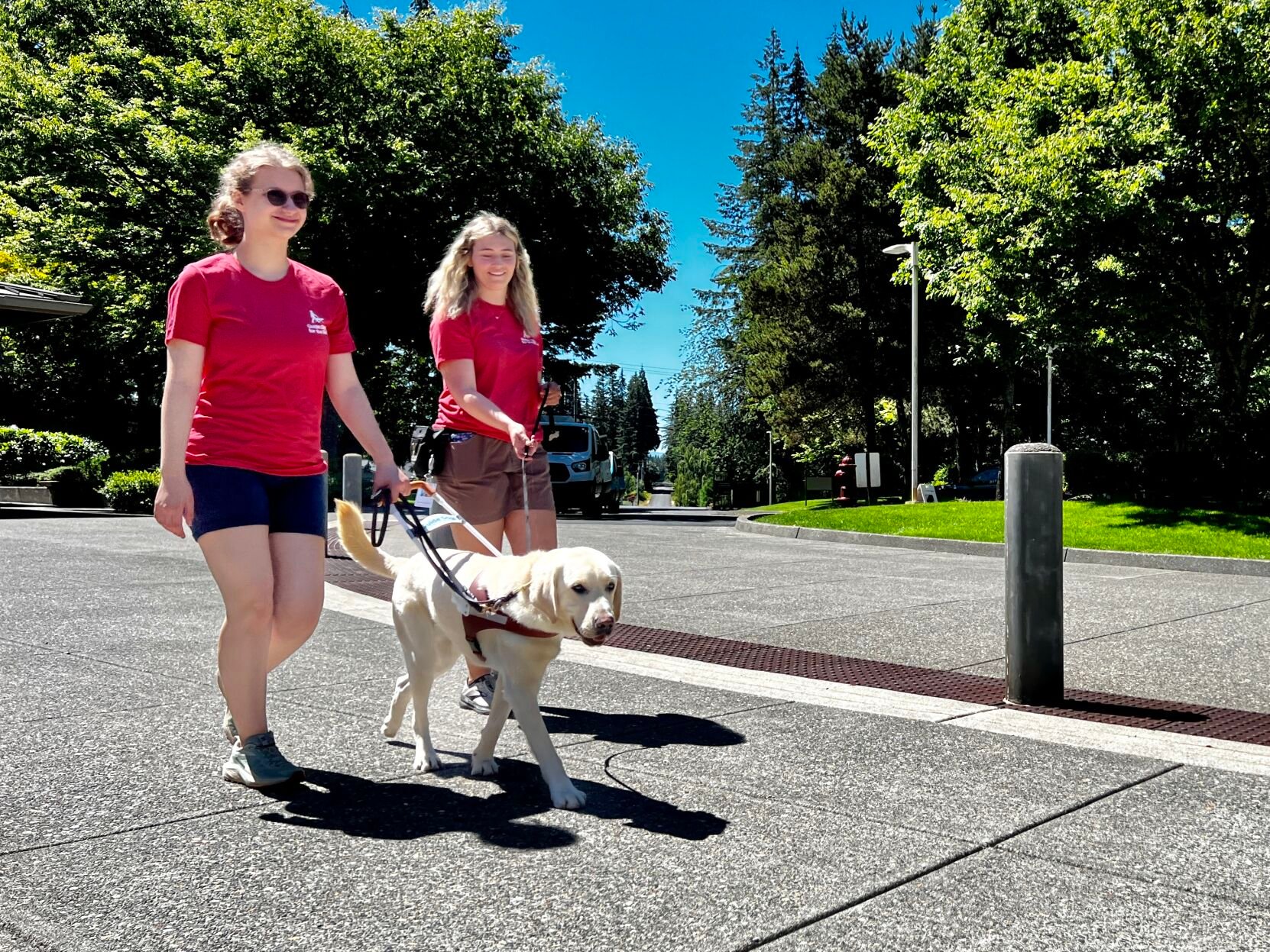 First guide fashion dog