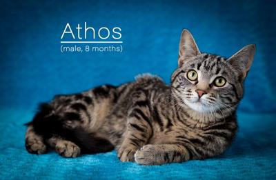 athos.jpg