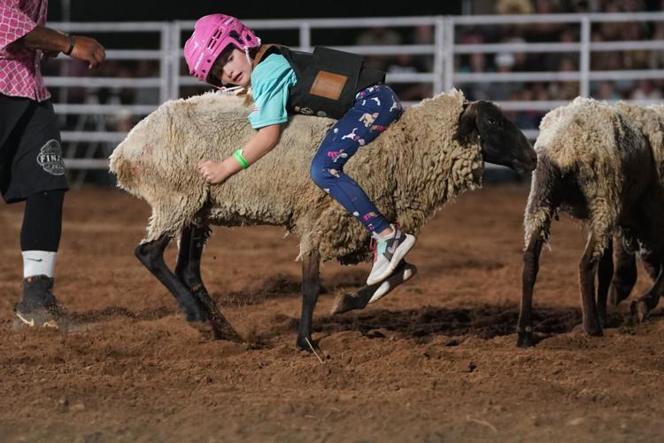 JR Rodeo - July 2024