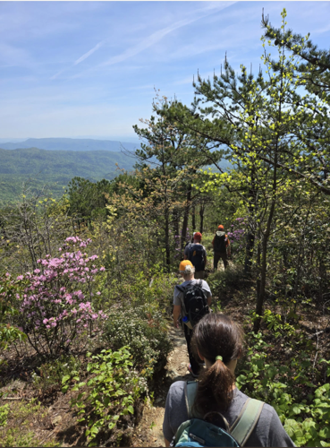 Trail Two