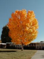 Photography exhibit showcases JIRDC’s beauty and community