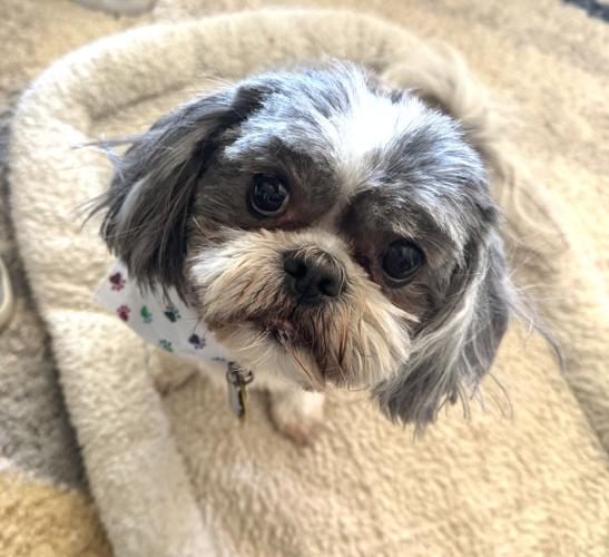 Murphy Two