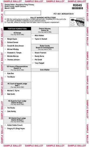 Republican sample ballot