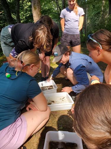 Participants in last summer's Wilderness Watershed Adventure sample macroinvertebrates from a stream with Catawba Riverkeeper North Basin Director Grant Buckner, center. Registration is open for the free week-long camp set for August.