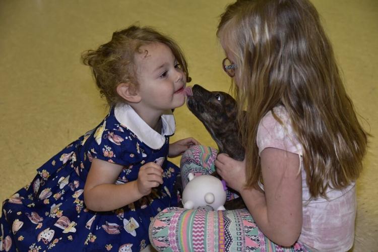 Vera McDowell gets a puppy kiss during the CVHF event last Thursday, Willow Scott holds onto the puppy.