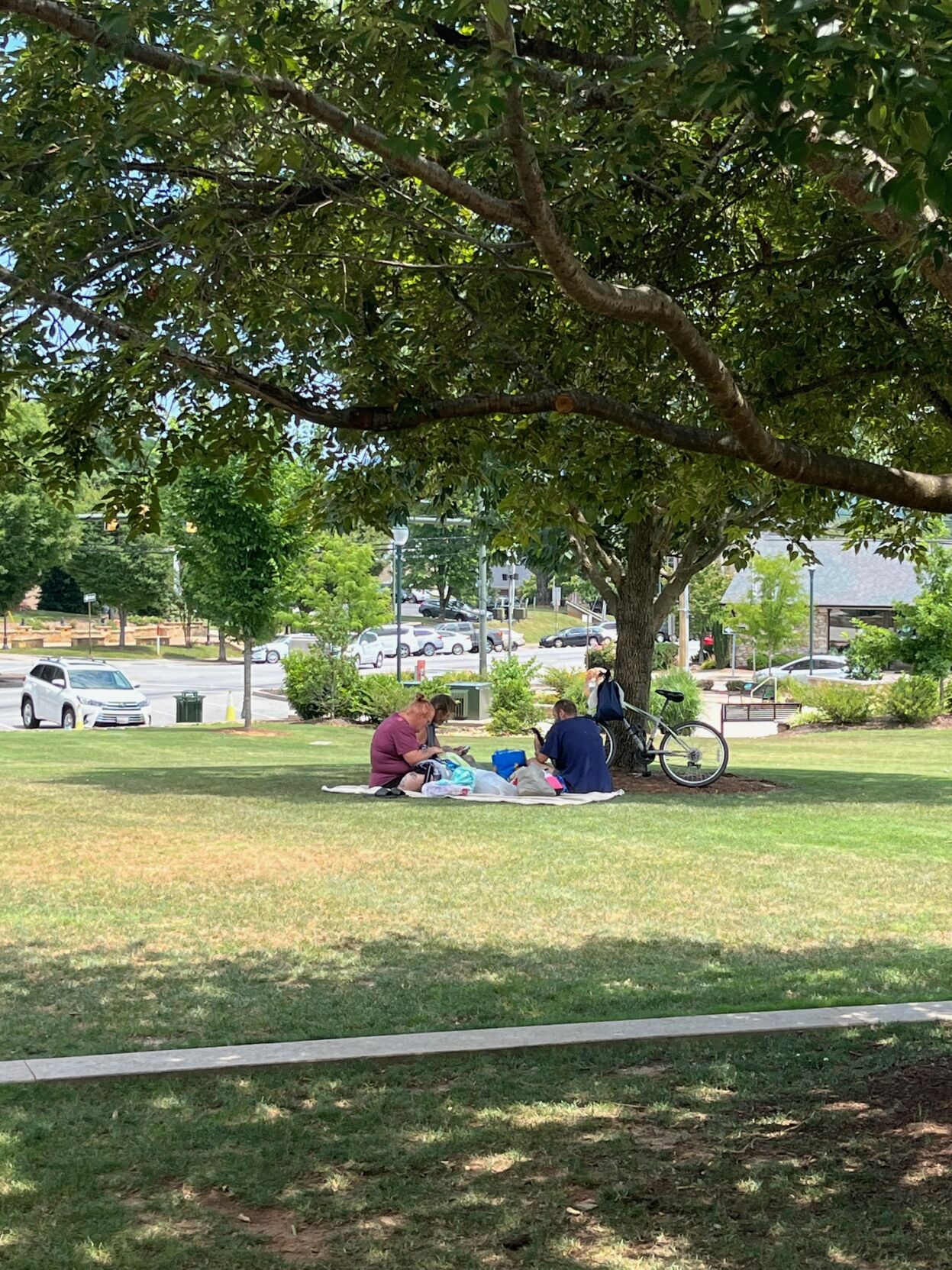 Whether you're housed or not, it;'s perfectly legal to do what these folks are doing, relaxing in the shade on the lawn of the Historic Burke Courthouse.