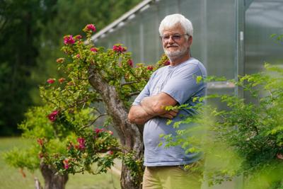 Bonsai Nursery