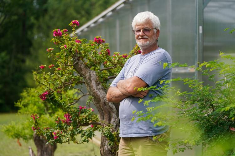 Bonsai Nursery
