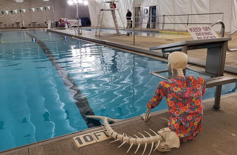 An unusual staff member guards the diving blocks at the Valdese pool