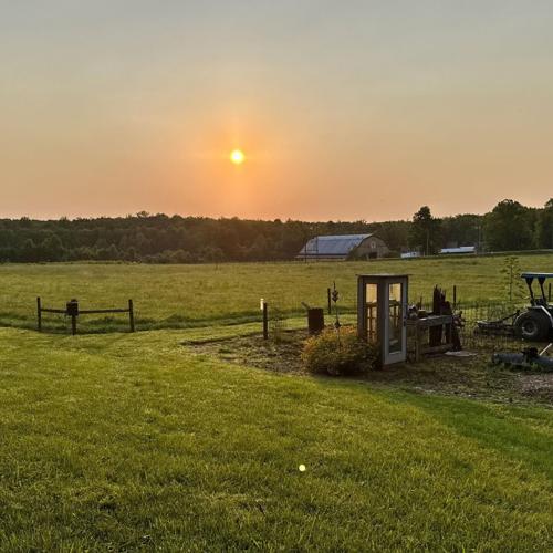 silver meadows.jpg