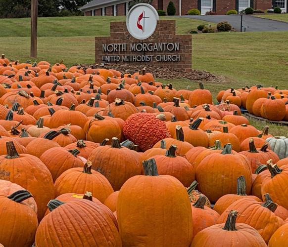 pumpkins1.jpg