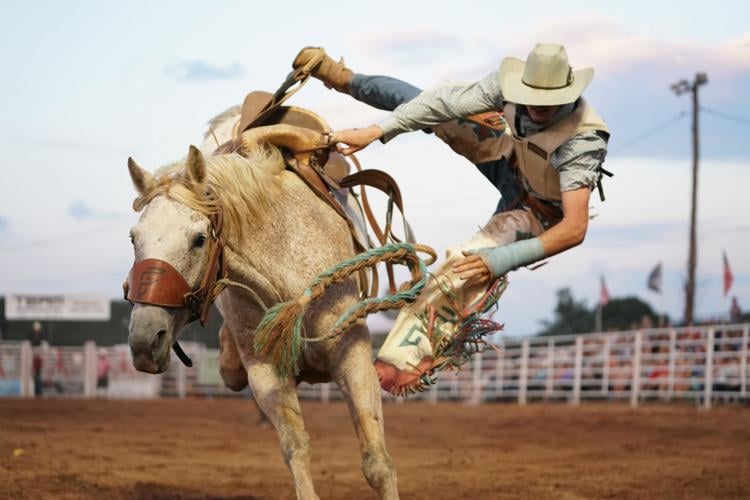 JR Rodeo CP photo