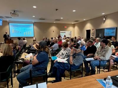 megasite public forum