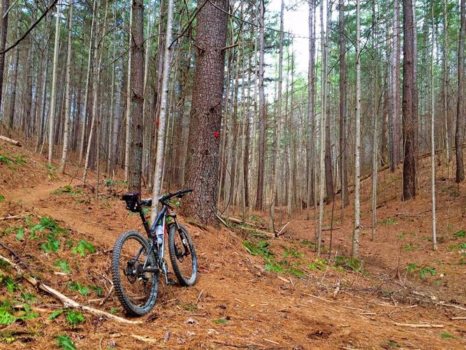 Bike Trails