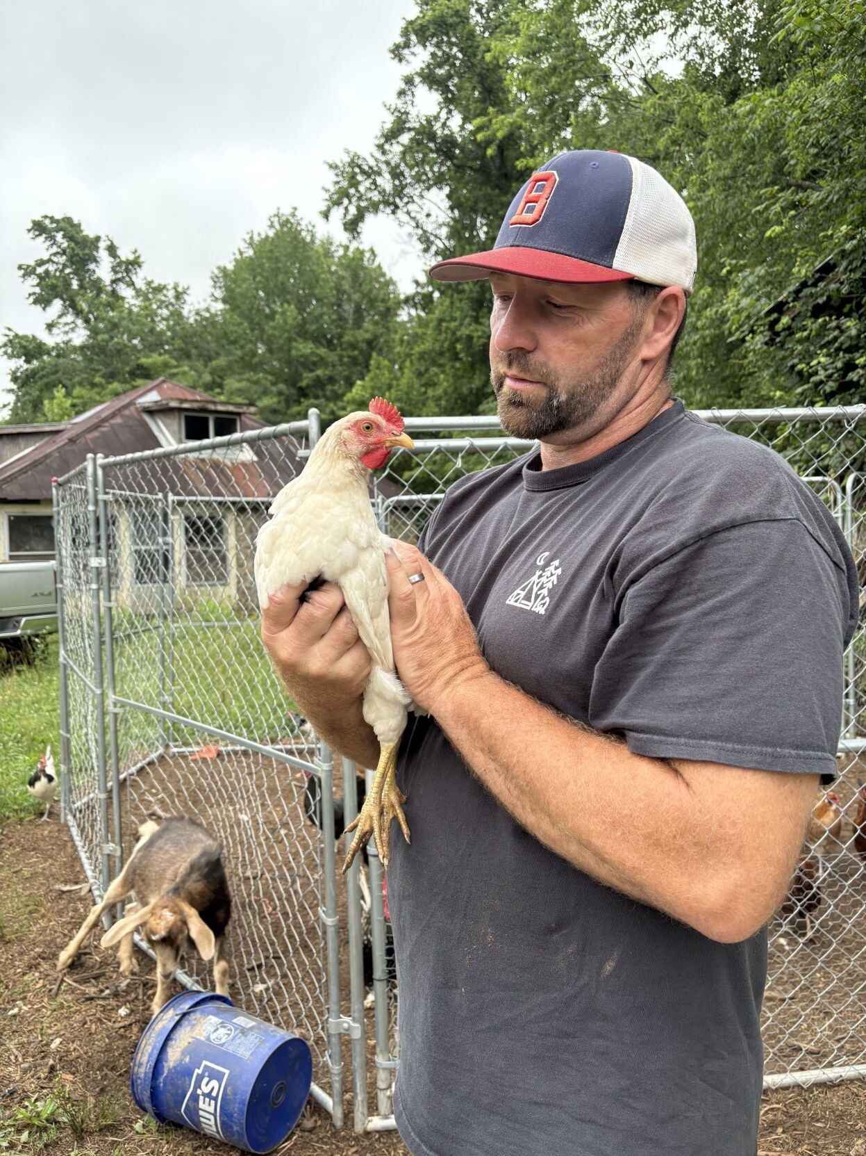 Browning Chicken Friend.jpg