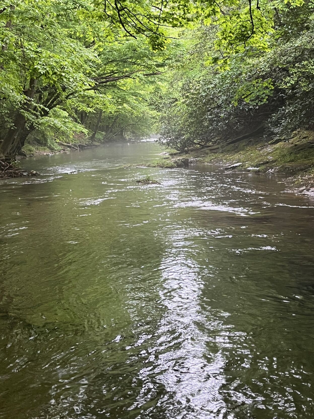 Bidding farewell to the paradise that was Curtis Creek