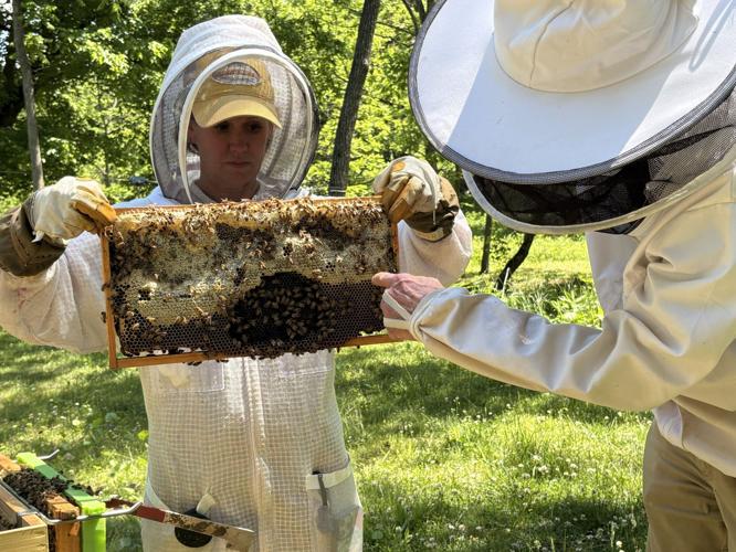 Beth Patton-John Whalley-hive1.jpg