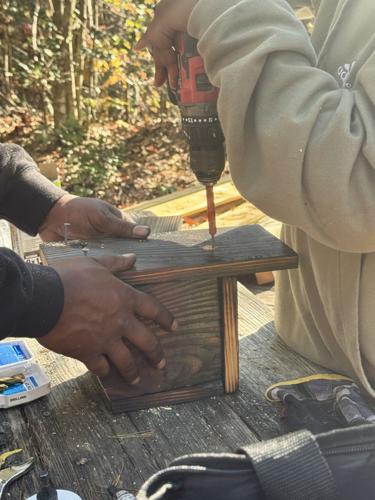 OVERFLOW building birdhouse