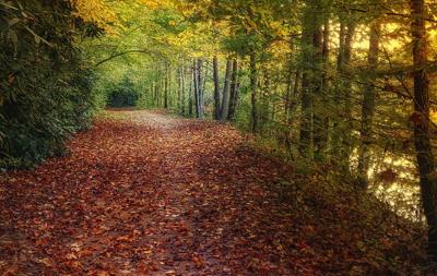 Valdese Greenway