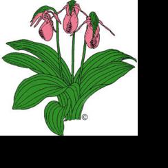 Editor's Pick: Lake James BioBlitz, Sept. 19
