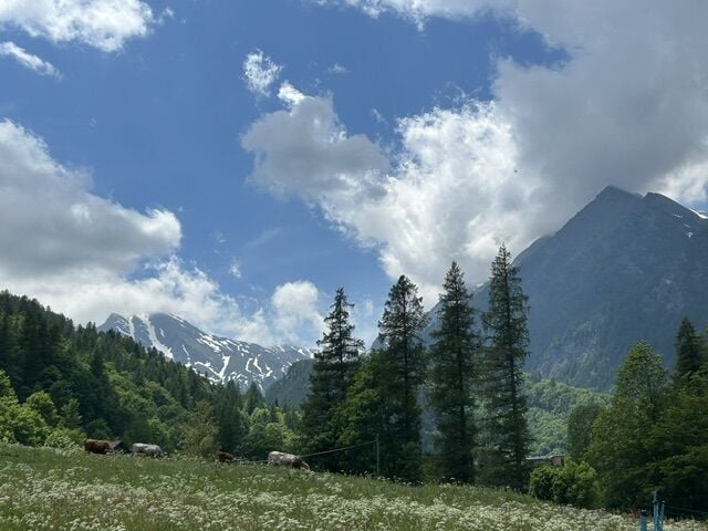 Prali