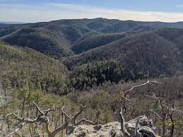 Chestnut Knob