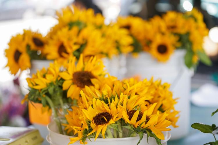Morganton Farmer’s Market