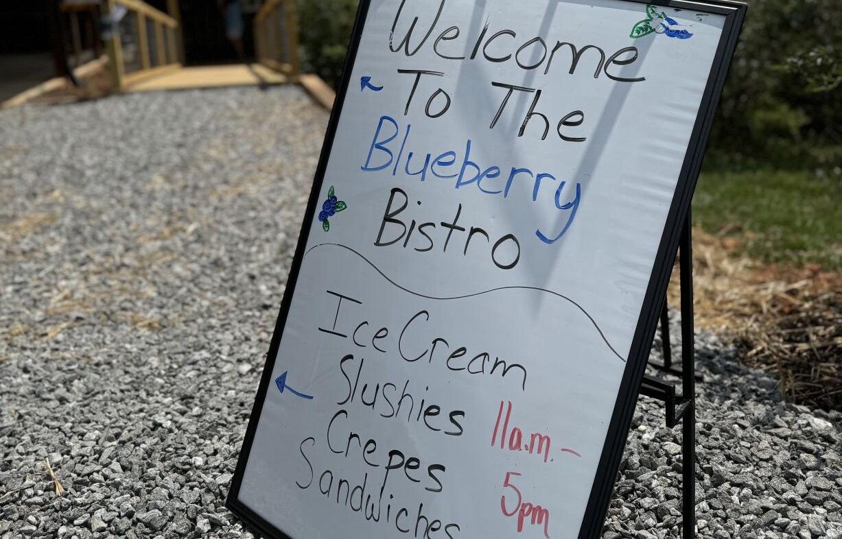 Blueberry Bistro open