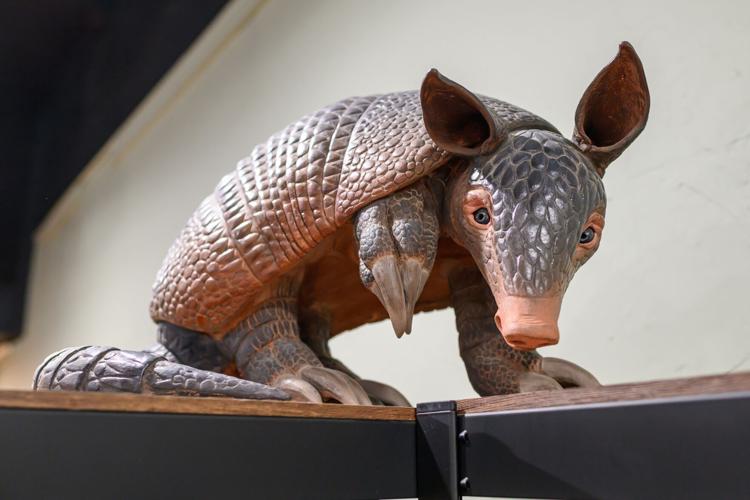Clay armadillo