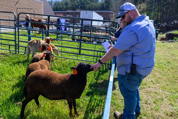 Ag teacher ebhs