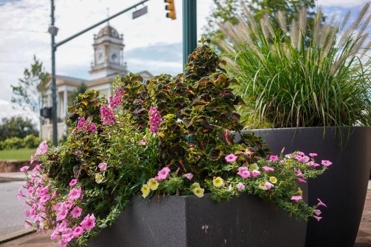 Jim Pless, City Groundskeeper: Lifetime Achievement Award