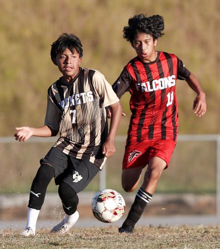 Walter Johnson boys finish 12-0 in regular season