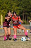 261017-sports-mssoccerstandalones-p2
