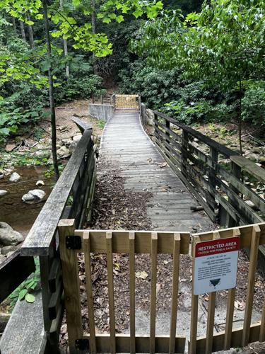 Bridge