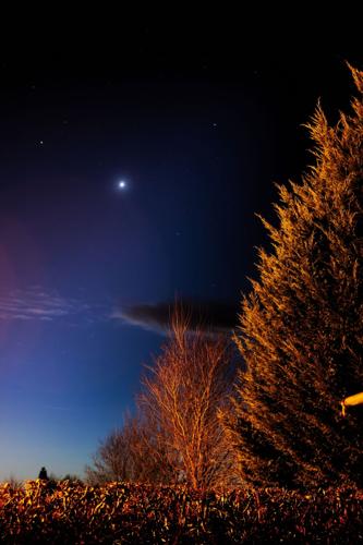 Venus