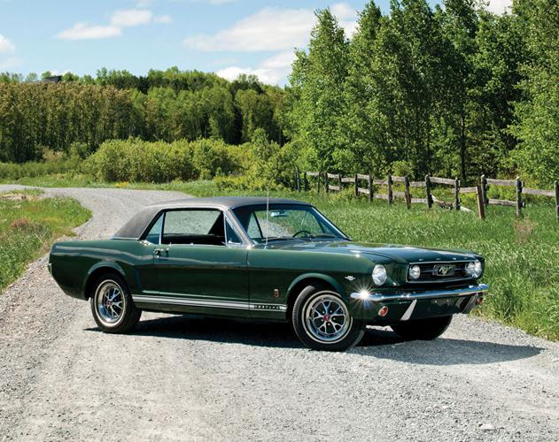 Mustang