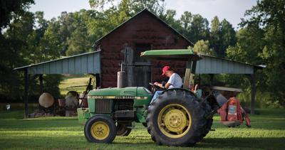 Farm