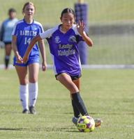 Liberty soccer, volleyball squads nab early-season wins