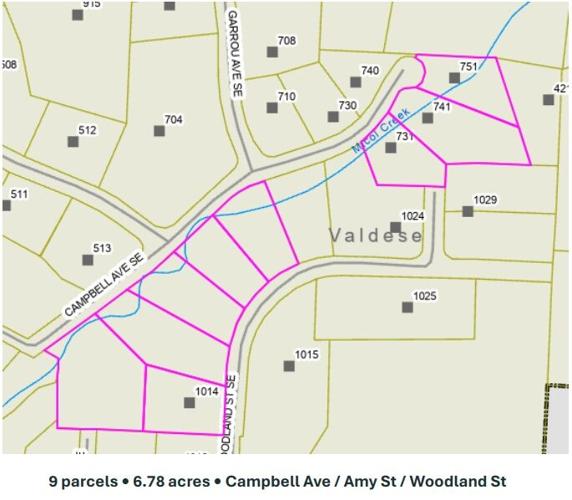 Nine parcels along Micol Creek Foothills Conservancy may acquire