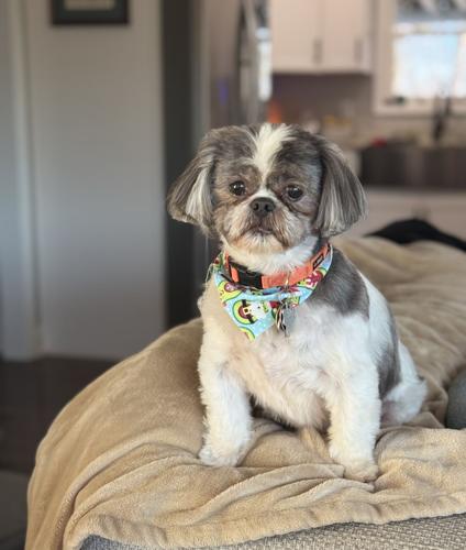 Murphy