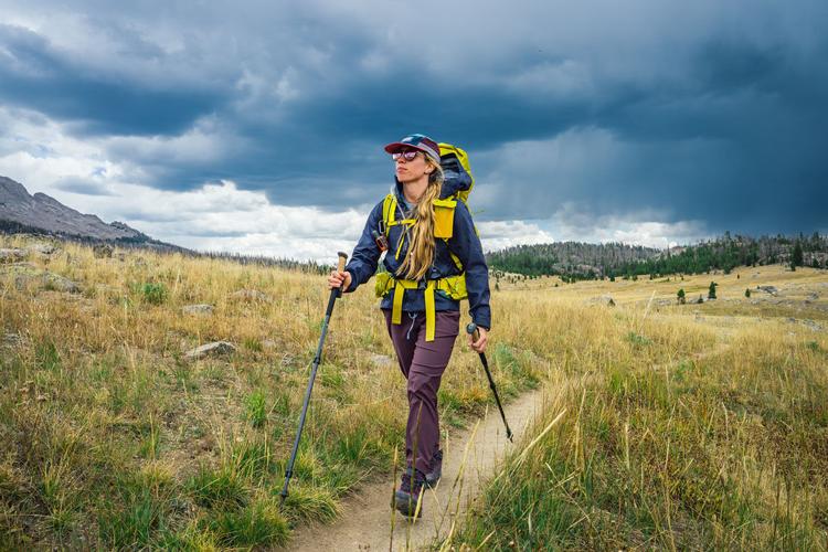 Trekking poles