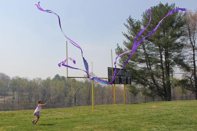 Salem kites 2026 2.JPG
