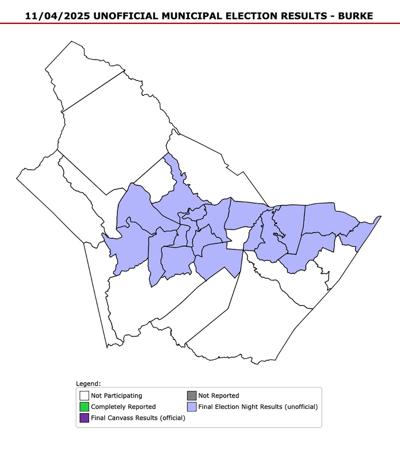 2025 Burke elections