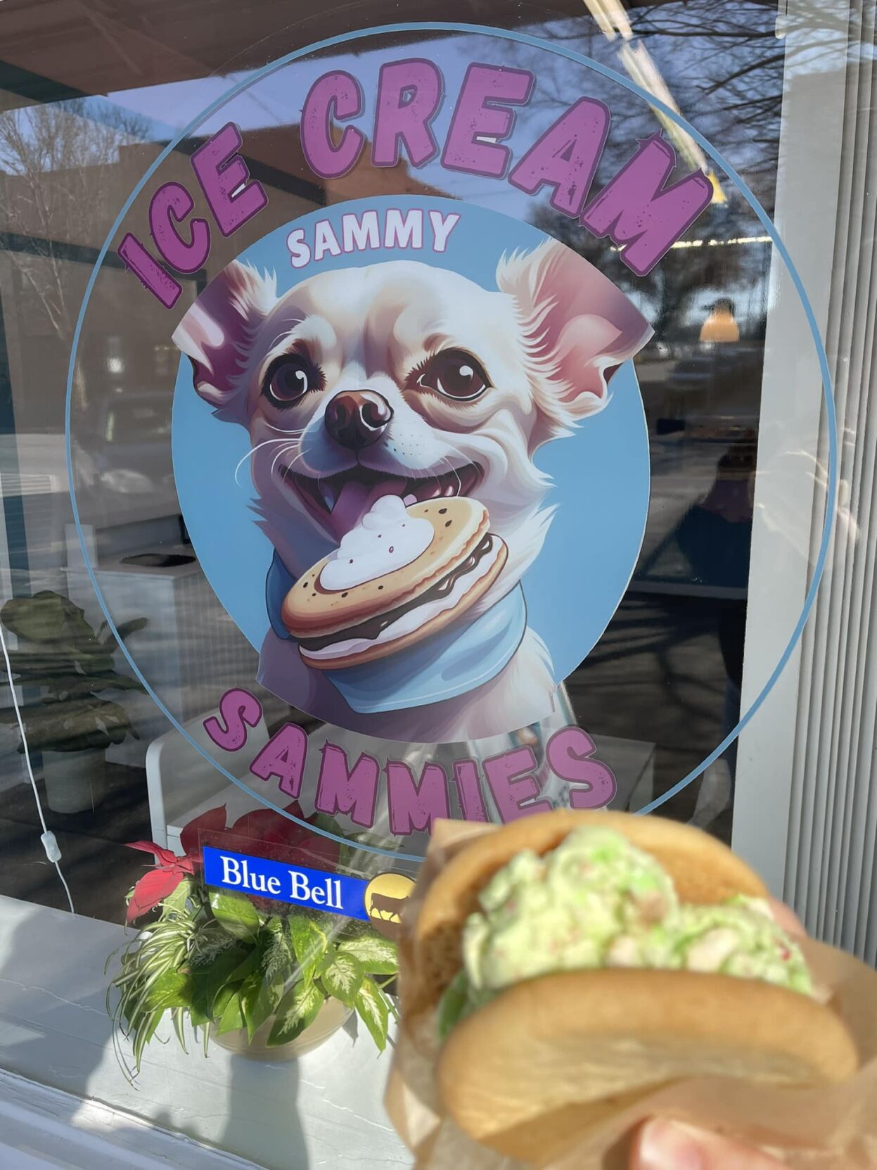 IceCreamSammies.jpg