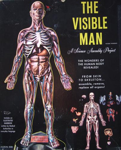 The Visible Man