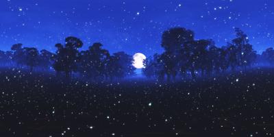 Fireflies