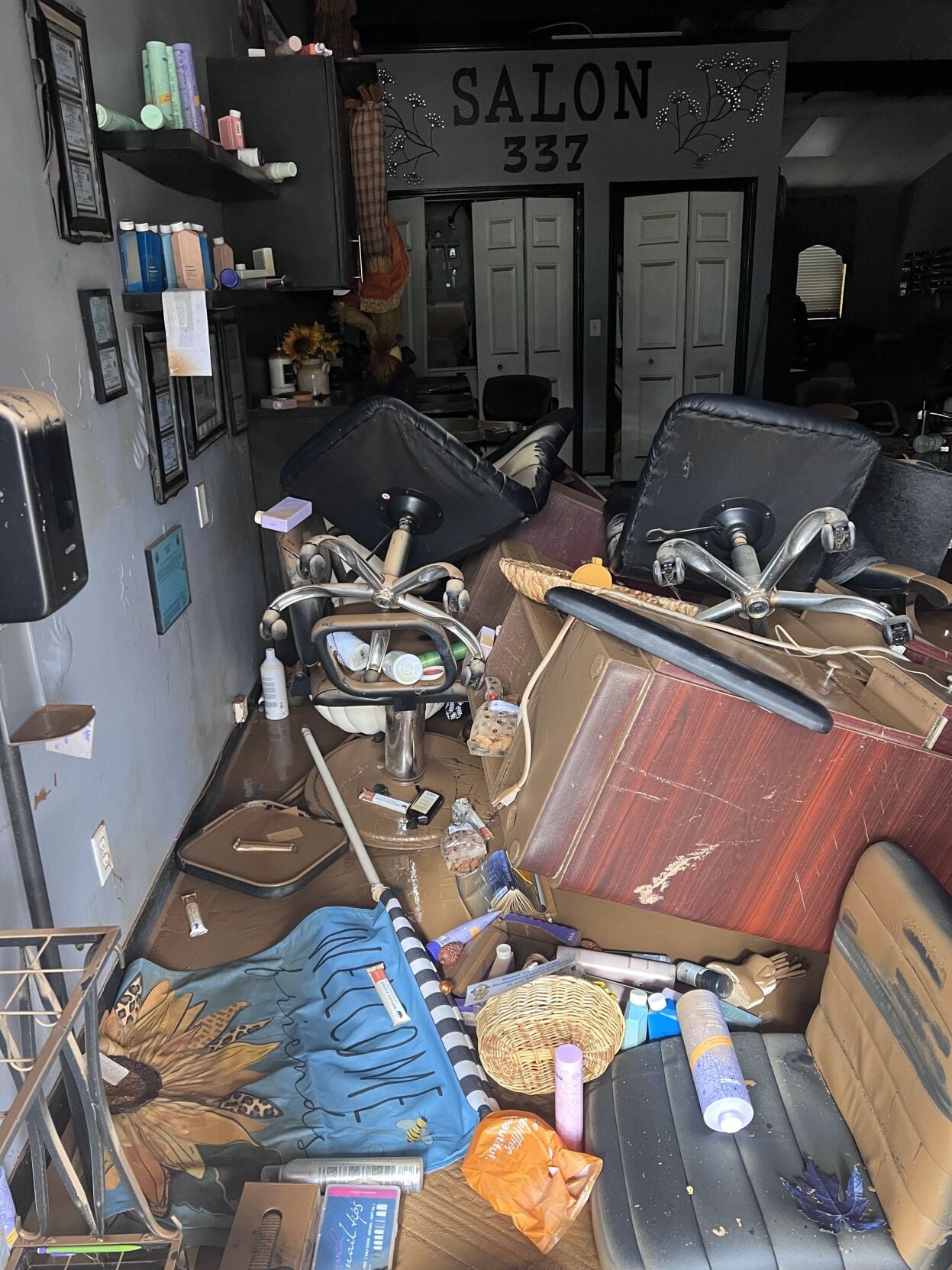 Salon337HurricaneHelene.jpg