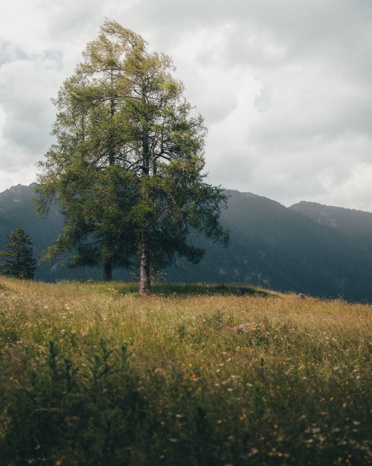A Peaceful Hill in Bavaria.jpg